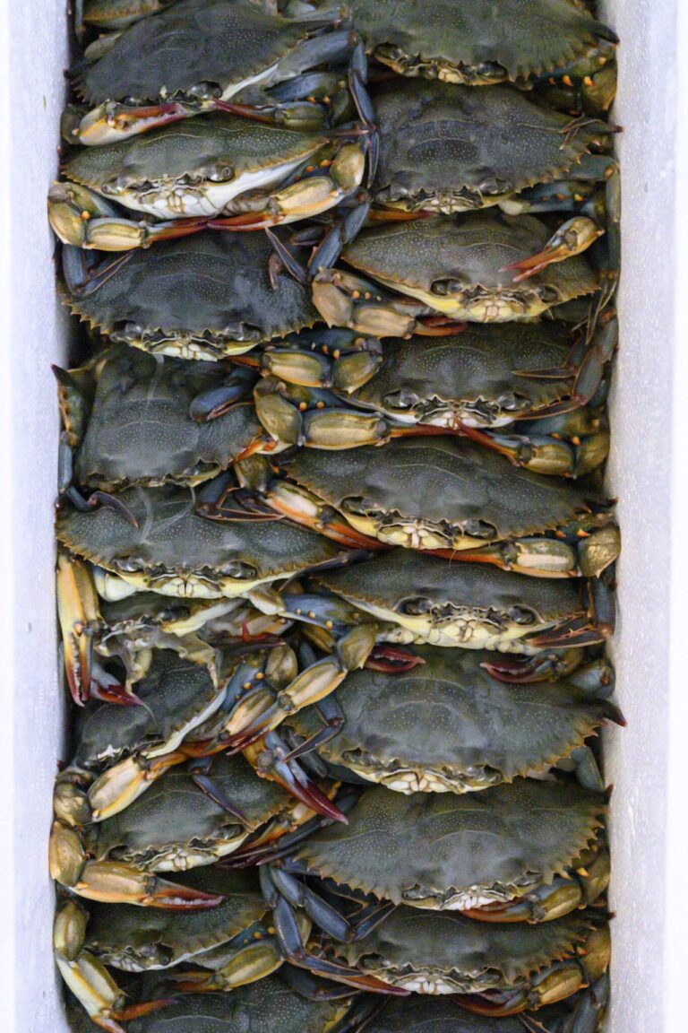 Fresh Local Seafood at Hudson's on the Docks Hilton Head Island