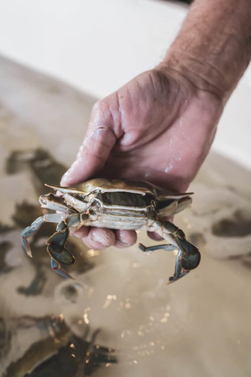 Fresh Local Crab - Hudson's Seafood Hudson's on the Docks - Hilton